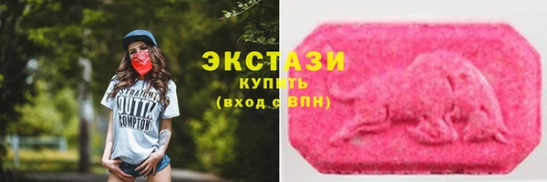 крисы Алзамай