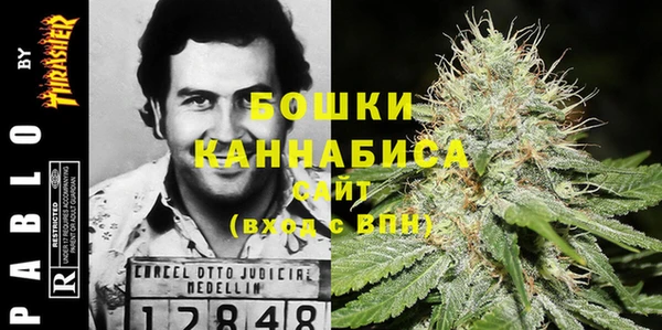 крисы Алзамай