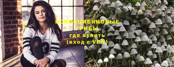 крисы Алзамай