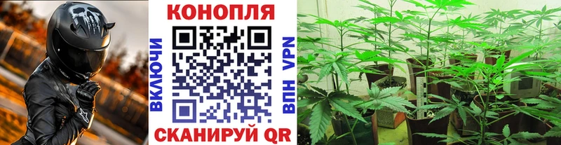 сколько стоит  Тамбов  МАРИХУАНА Ganja 